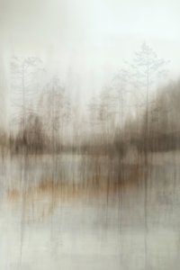 Sumuisen metsän heijastukset tekijältä Christina Sillen