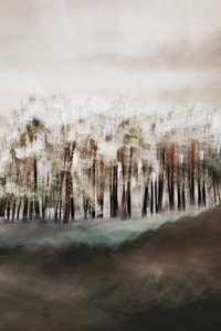 Sumuisen metsän rauha tekijältä Christina Sillen