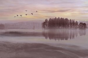 Misty Lake - lintujen lento tekijältä Christina Sillen