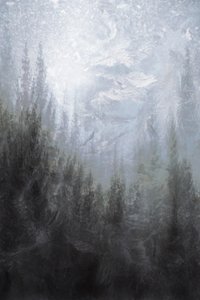 Sumuiset talvimetsät tekijältä Christina Sillen