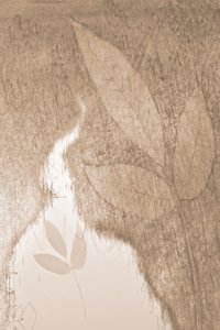 Pehmeä kasvi-hehku tekijältä Christina Sillen