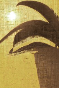 Trooppinen auringonpaiste tekijältä Christina Sillen