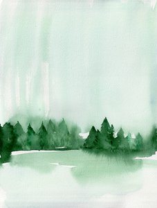 Sumuisen metsän järvi tekijältä Christine Lindstrom