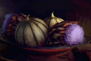 Melonit ja purppura-ohdakkeet tekijältä Christine SUISSIA