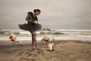 Ballerina ja rannan flamingot tekijältä Christine von Diepenbroek
