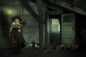 Omalaatuinen nainen ullakolla tekijältä Christine von Diepenbroek