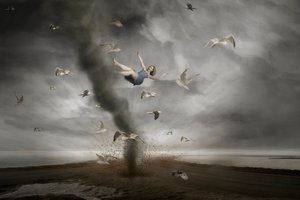 Nainen tornadossa tekijältä Christine von Diepenbroek
