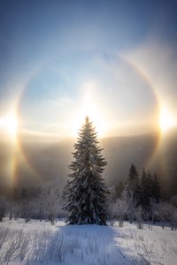 Luminen puu ja auringon sädekehä tekijältä Christoph Schaarschmidt