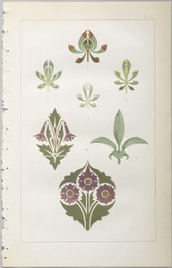 Koristeellisen suunnittelun taide: liite, joka ilmoittaa kellonajat, jolloin kukat avautuvat, julkaisija Day & Son, Lontoo, 1862