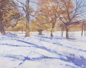 Talvi, Richmond Park