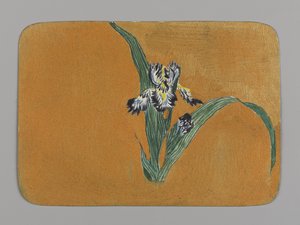 Iris (wc paperilla)