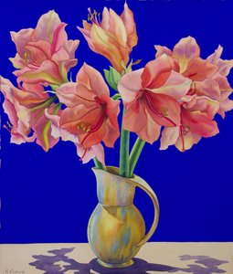 Amaryllis kannussa, 2007 (wc ja guassi paperilla)