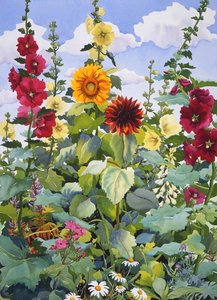 Hollyhocks and Sunflowers, 2003 (akvarelli paperille) tekijältä Christopher Ryland