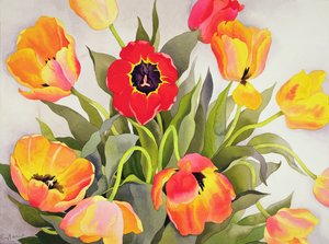 Oranssit ja punaiset tulppaanit (wc) tekijältä Christopher Ryland