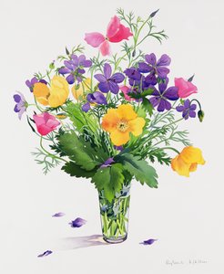 Unikot ja pelargoniat (wc paperilla) tekijältä Christopher Ryland