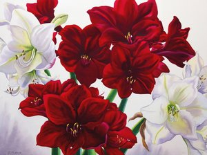 Punavalkoinen Amaryllis, 2008 (wc paperilla) tekijältä Christopher Ryland