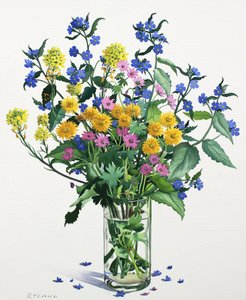 Wild Flowers with alkanet, 2021 (akvarelli paperille) tekijältä Christopher Ryland