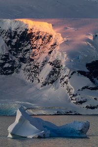Golden Antarctic Peak tekijältä Chuanxu Ren
