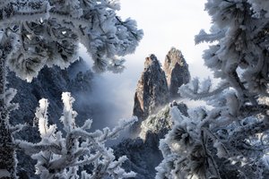 Majesteettiset talvihuiput