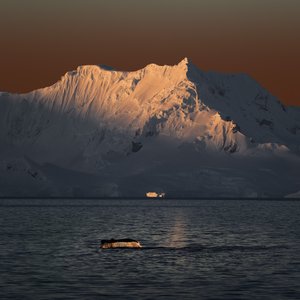 Valaan pyrstö ja kultainen auringonlasku tekijältä Chuanxu Ren