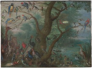 Lintujen konsertti tekijältä Circle of Jan van Kessel the Elder