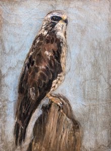  tekijältä Claire Lerner