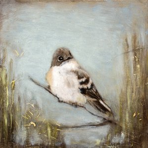  tekijältä Claire Lerner