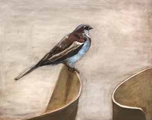  tekijältä Claire Lerner