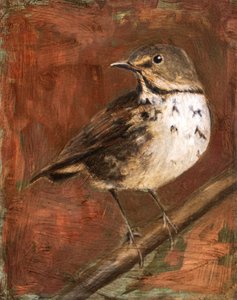  tekijältä Claire Lerner