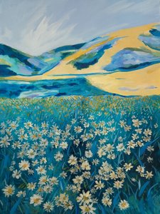 Golden Hillsin päivänkakkarakenttä tekijältä Claire Whitehead