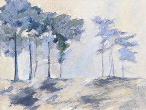 Sumuisen metsän puut