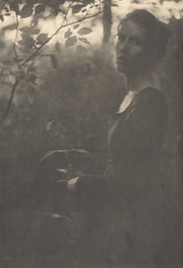 Edge of the Woods, Ilta, 1900.