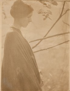 Auringonvalo tekijältä Clarence H. White