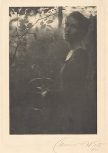 Metsänreuna, ilta,1900 (kuva)