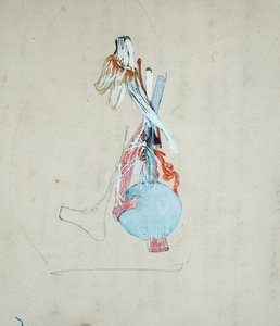 Hermosto kissan päässä, 25. toukokuuta 1842 (lyijykynä ja akvarelli paperille). tekijältä Claude Bernard