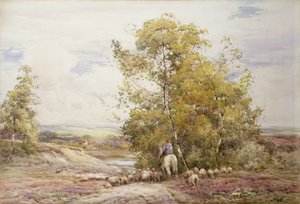 Dorset Pastoraali