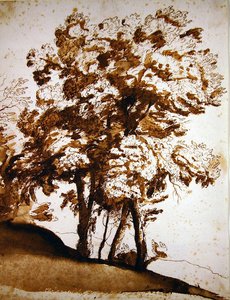 Ryhmä puita auringonvalossa (kynä ja muste ja pese paperille) tekijältä Claude Lorrain