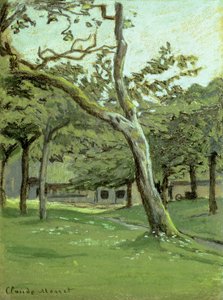 Orchard tekijältä Claude Monet