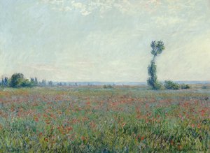 Koiranputkikenttä tekijältä Claude Monet