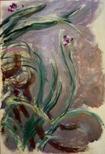 Iris (Irises) tekijältä Claude Monet