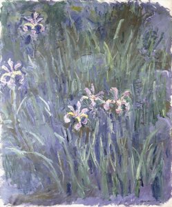 Iris, n. 1914-1917 tekijältä Claude Monet
