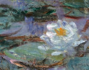 Siniset lumpeet. Yksityiskohta lumpeesta. Claude Monet