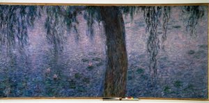 Nympheas, valoisa aamu Triptyykkipajujen oikealla puolella. Claude Monet