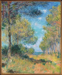 Pine Tree Path Varengevillessä; Allee de sapins Varengeville, 1882 tekijältä Claude Monet