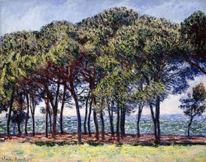 Pines, Cap d"Antibes, 1888 tekijältä Claude Monet