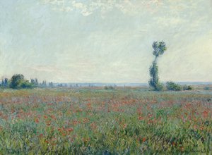 Unikkopelto, 1881 tekijältä Claude Monet