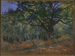 Bodmer Oak, Fontainebleaun metsä, 1865 tekijältä Claude Monet