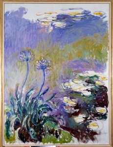 Agapanthus tekijältä Claude Monet
