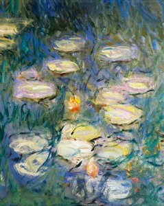 Vesililjat, kirjoittanut Claude Monet, yksityiskohta tekijältä Claude Monet