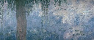 Lummet: Aamu itkevien pajujen kanssa, 1914-1918 (oikea osa) tekijältä Claude Monet